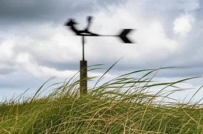 Illustration var - Image 1