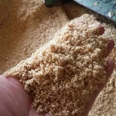 Illustration sawdust - Image 2