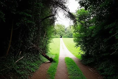 Illustration off-track - Image 1