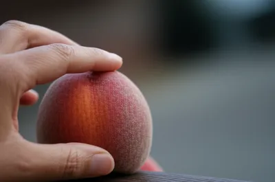 Illustration fingered - Image 1