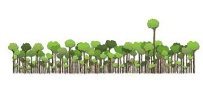 Illustration emergent - Image 2