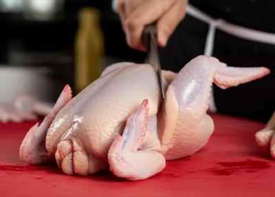 Illustration fabricates - Image 1