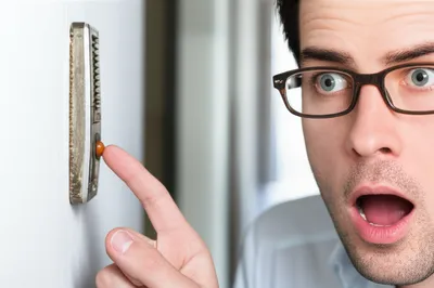 Illustration buzzes - Image 1