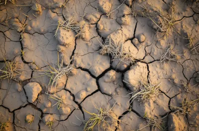 Illustration clods - Image 1