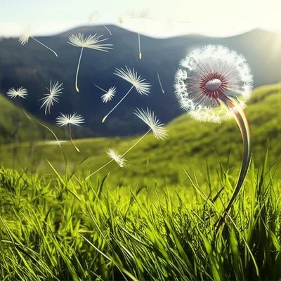 Illustration propagating - Image 1