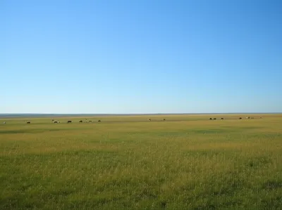 Illustration plains - Image 1
