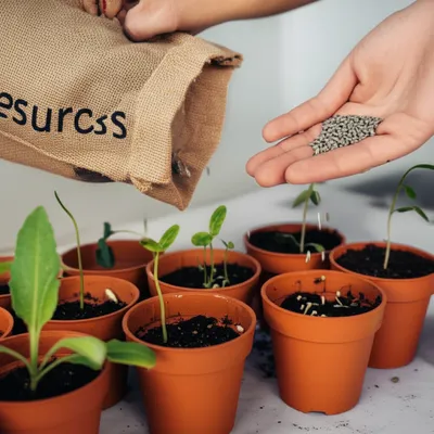 Illustration administering - Image 1