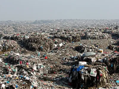 Illustration gross - Image 1