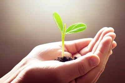 Illustration mother - Image 1