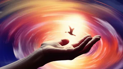 Illustration returns - Image 1