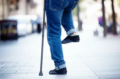 Illustration gimp - Image 1