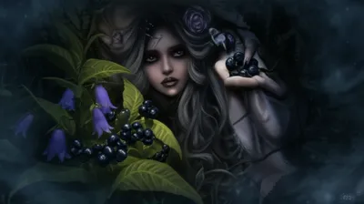 Illustration nightshade - Image 1