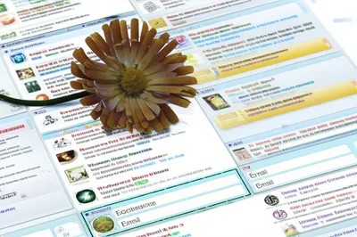 Illustration sage - Image 1