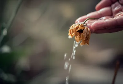 Illustration suffered - Image 1