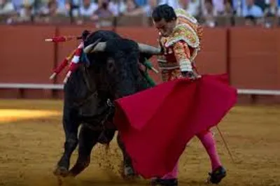 Illustration cape - Image 2