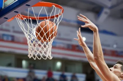 Illustration basket - Image 1