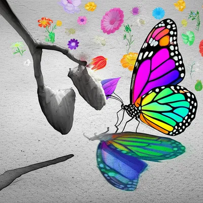 Illustration difference - Image 1