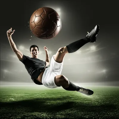 Illustration punted - Image 1