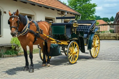 Illustration tackling - Image 1