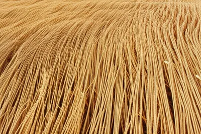 Illustration plies - Image 1