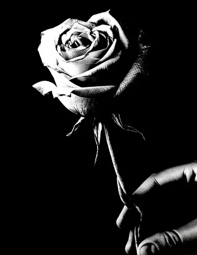 Illustration perverting - Image 1