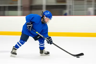 Illustration bandy - Image 1