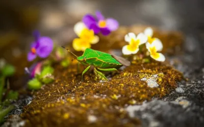 Illustration bog - Image 1