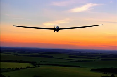 Illustration soar - Image 1