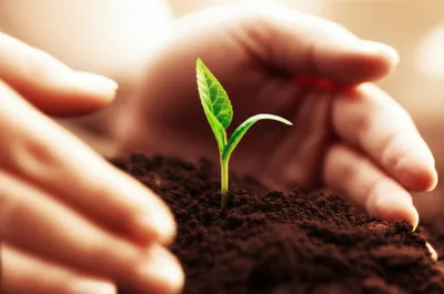 Illustration clipped - Image 1