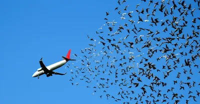 Illustration panicked - Image 1