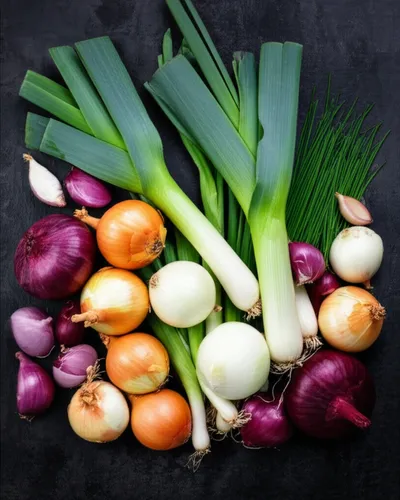 Illustration onions - Image 1