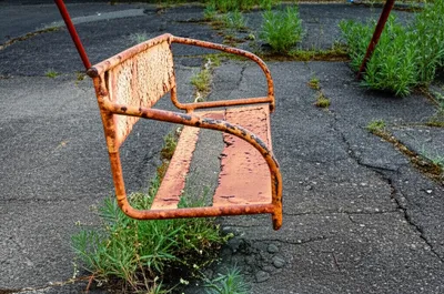 Illustration rusts - Image 1