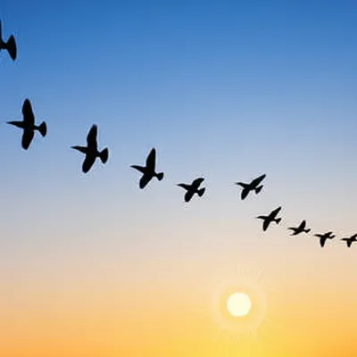 Illustration southerly - Image 1