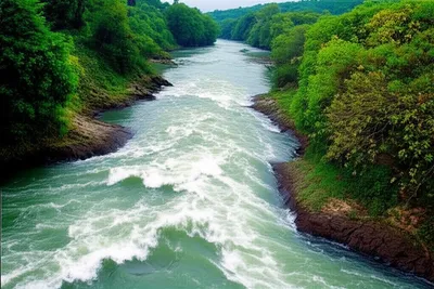 Illustration recourse - Image 1