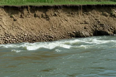 Illustration scour - Image 1