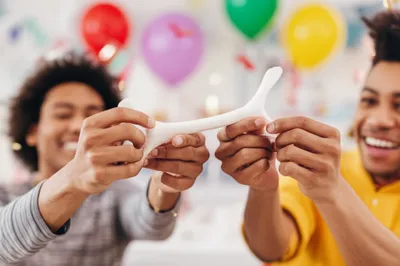 Illustration furcula - Image 1