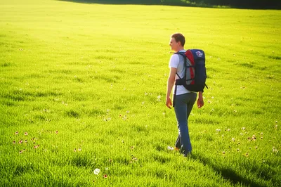 Illustration caveat - Image 1