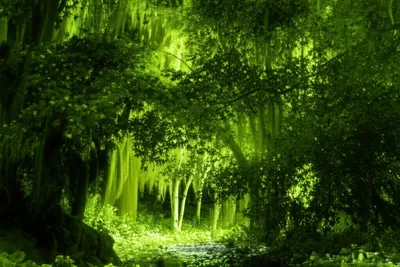 Illustration greener - Image 1