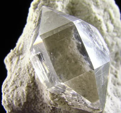 Illustration roughest - Image 1