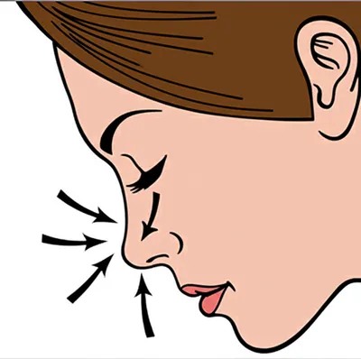 Illustration sniff - Image 1