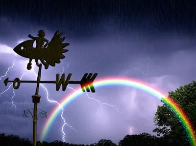 Illustration vagaries