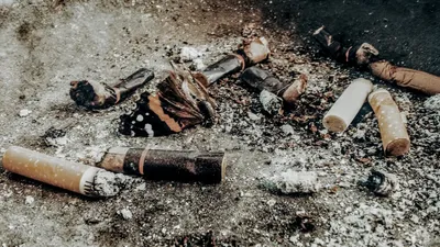 Illustration buts - Image 2