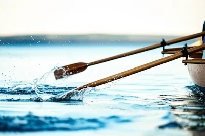 Illustration oared - Image 1