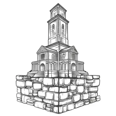 Illustration basal - Image 1