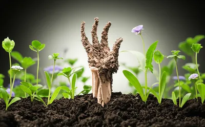 Illustration undead - Image 1