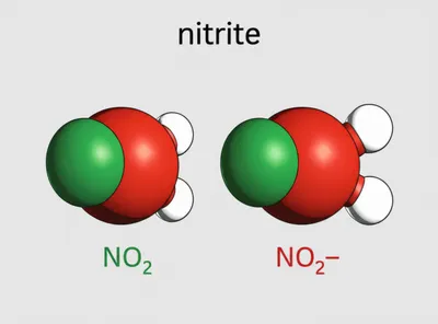 Illustration nitrite - Image 1