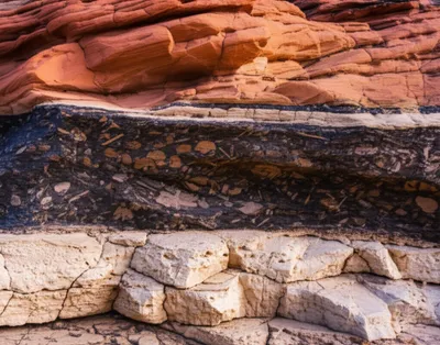 Illustration facies - Image 1