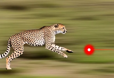 Illustration rn - Image 1