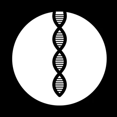 Illustration sire - Image 1