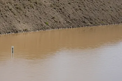 Illustration abate - Image 1